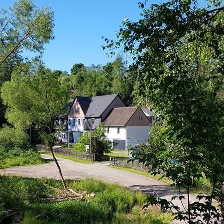 Naturferienhaus Luppbodemuhle Allrode Exterior foto