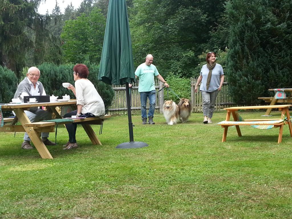 Naturferienhaus Luppbodemuhle Allrode Exterior foto