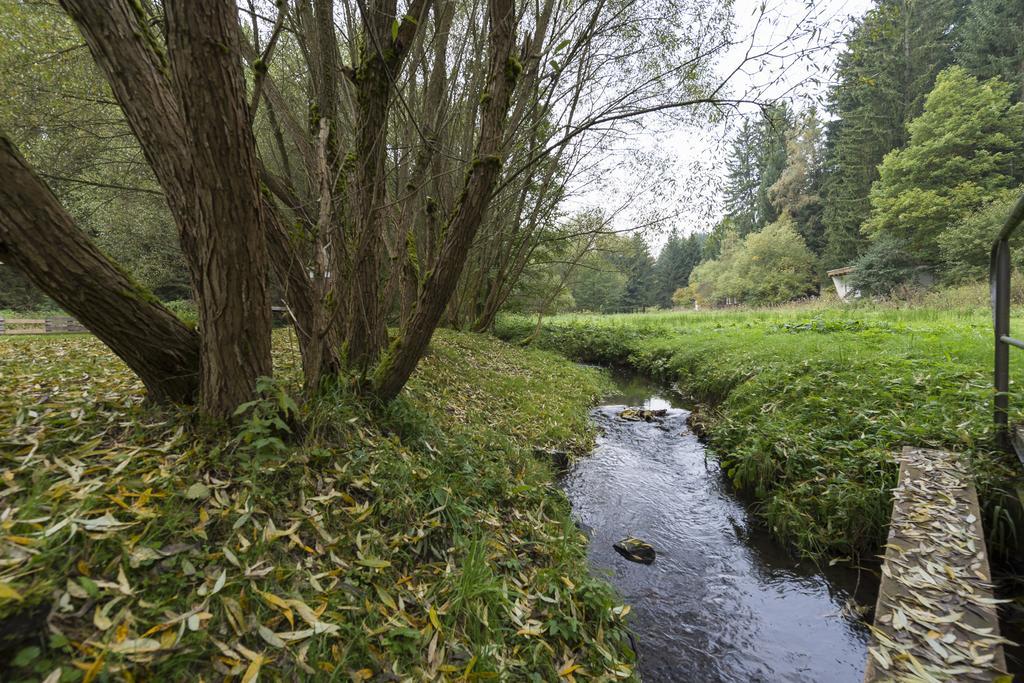 Naturferienhaus Luppbodemuhle Allrode Exterior foto