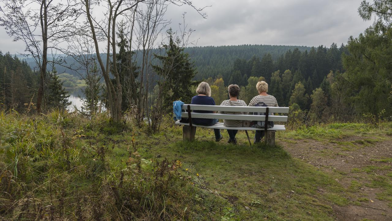 Naturferienhaus Luppbodemuhle Allrode Exterior foto